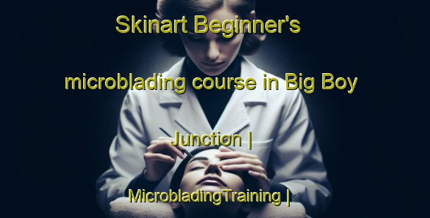 Skinart Beginner's microblading course in Big Boy Junction | MicrobladingTraining | MicrobladingClasses | SkinartTraining-United States